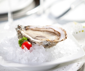 Oysters on a Half Shell