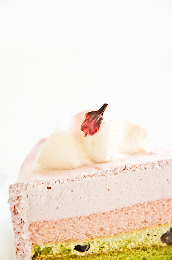 easy desserts & recipes: cherry blossom and matcha layer cake (entremet)